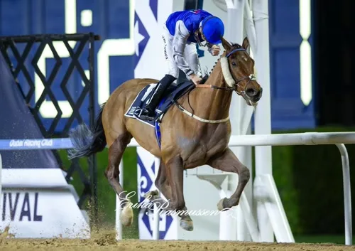 Dubai Racing Carnival under floodlights