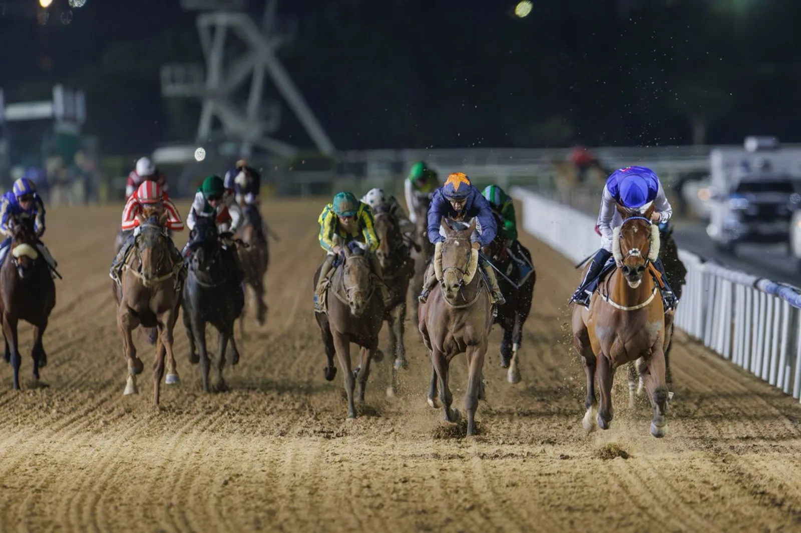 Field of racehorses on the dirt at night