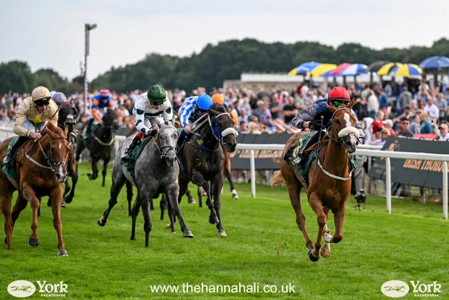 Palace of Holyroodhouse Handicap, Royal Ascot