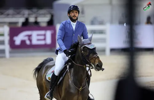 Leith Jumping rider on a bay horse in the arena