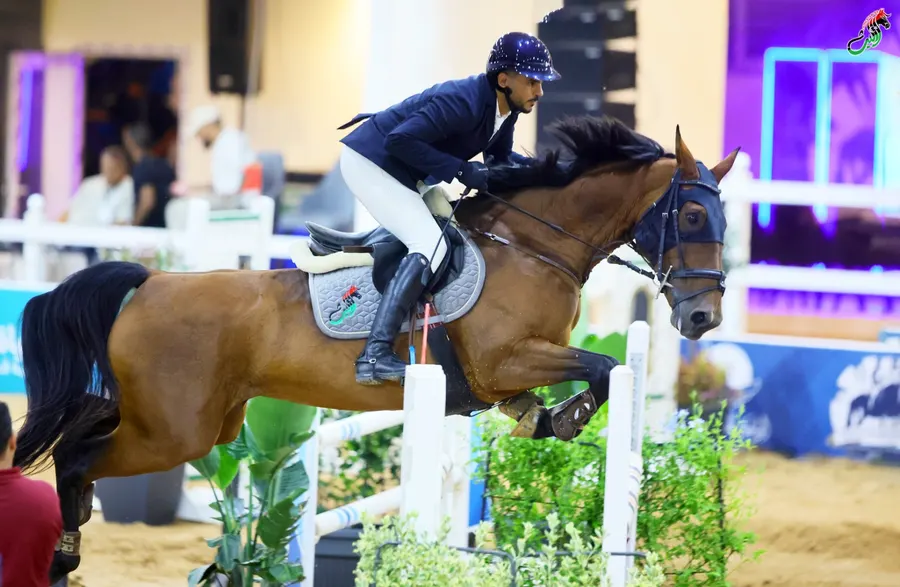 Bay horse clearing a fence in the floodlit arena