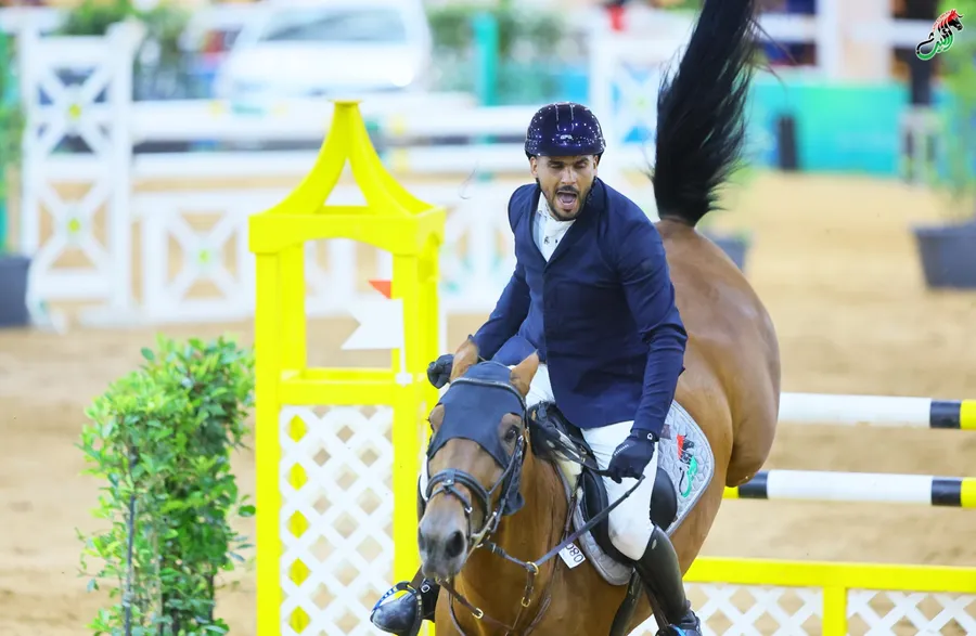 Bay horse landing beside the yellow jump wing