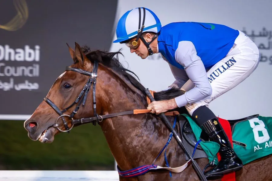 Jockey Richard Mullen on a bay racehorse at Al Ain